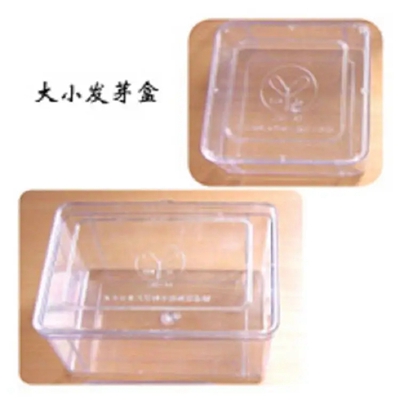 種子發(fā)芽盒 12*12cm/13*19cm